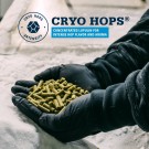 Idaho 7 25g Cryo Hops (20,1%) thumbnail