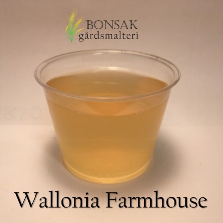 Wallonia Farmhouse Malt (<3,3 EBC) 100G - Bonsak Gårdsmalteri